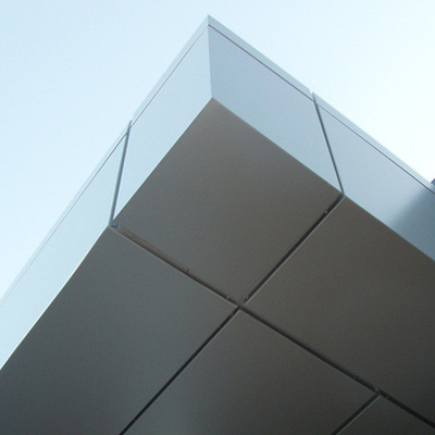 Kundengerechte Farbaluminium-Fassadenelement-Decke für Metro-Station